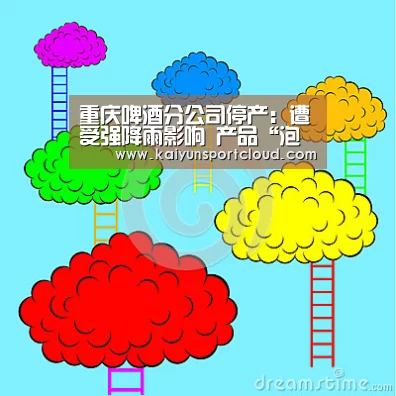 开云APP